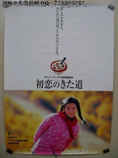 做个精仿伊利诺伊大学文凭毕业证